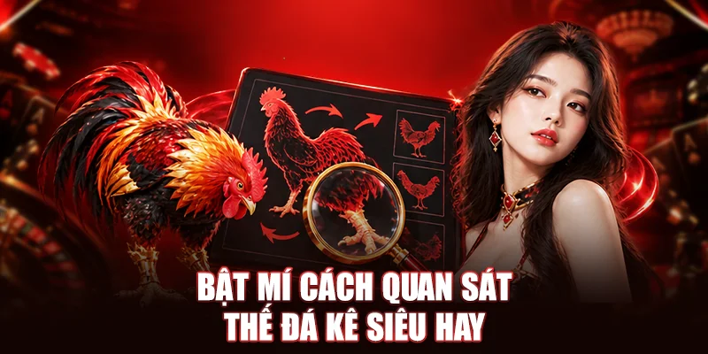 Bật mí cách quan sát thế đá kê siêu hay