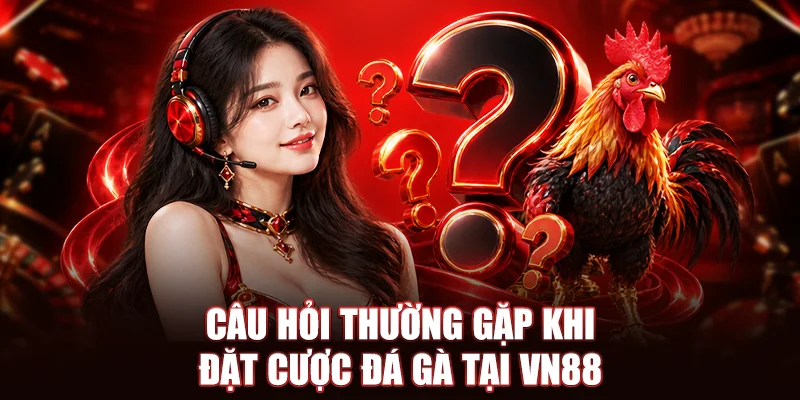 Câu hỏi thường gặp khi đặt cược đá gà tại VN88