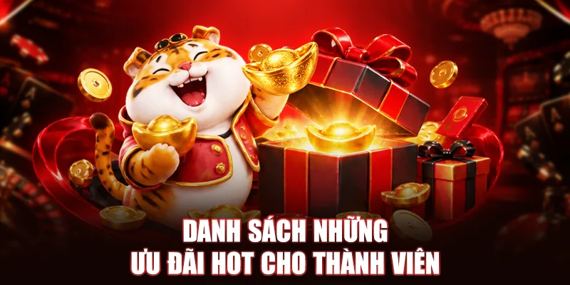Danh sách những ưu đãi hot cho thành viên