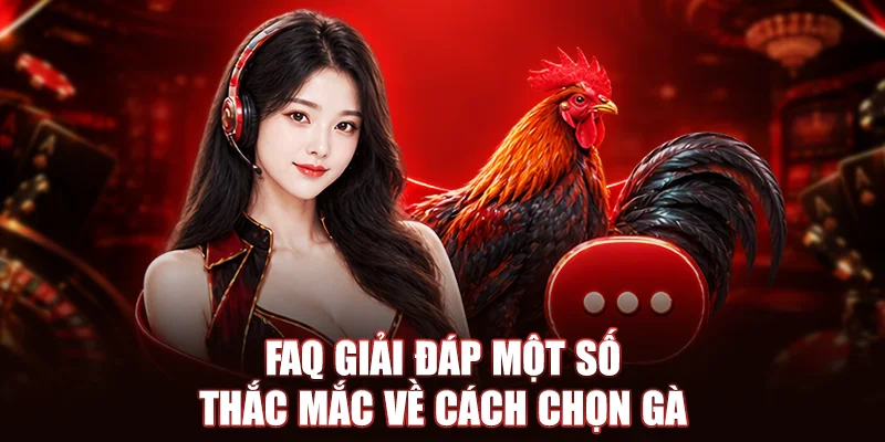 FAQ giải đáp một số thắc mắc về cách chọn gà